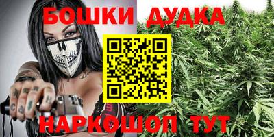 амф Обь