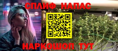 mdpv Обнинск