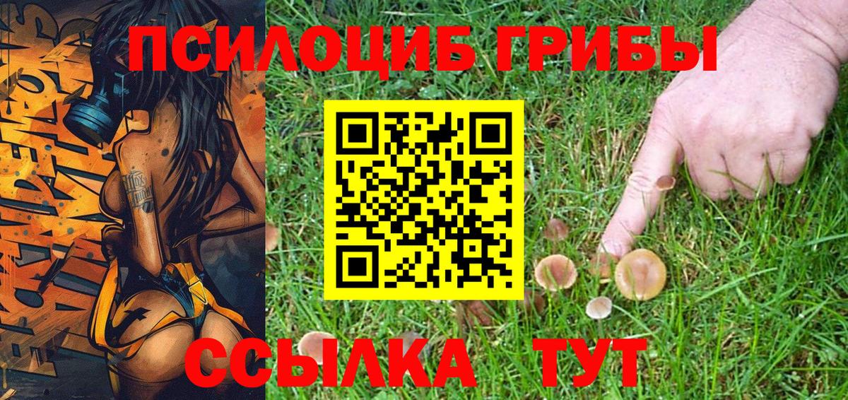 Псилоцибиновые грибы Cubensis Черняховск