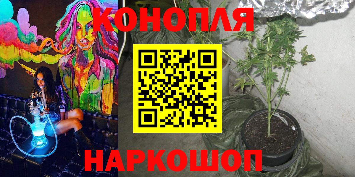 Черняховск  Шишки марихуана VHQ  Бошки марихуана Ganja  Бошки марихуана тримм  Вход с VPN 